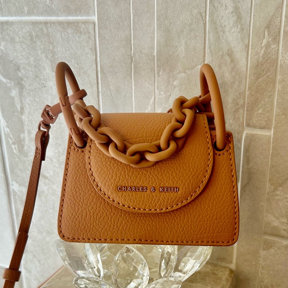 Charles & Keith mimicked bag